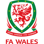 Wales U19