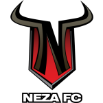 Toros Neza UTN