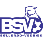 BSV