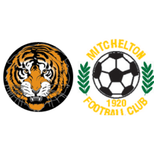 Mitchelton vs Surfers Paradise Apollo H2H stats - SoccerPunter