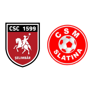 CSM Slatina vs Argeş H2H stats - SoccerPunter