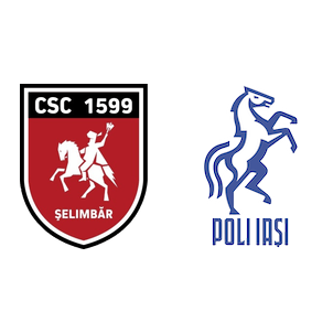 Hermannstadt vs CSM Iaşi H2H stats - SoccerPunter