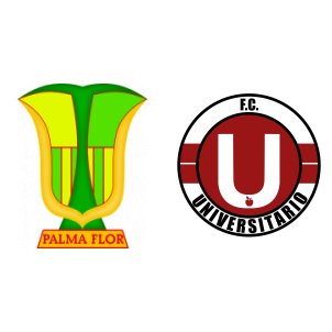 Club Aurora vs Atletico Palmaflor Vinto Predictions