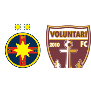 FC Hermannstadt vs FC Voluntari - 2023-09-17 