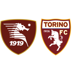 Salernitana 0-3 Torino: results, summary and goals