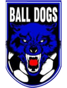 Ball Dogs