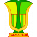 Atletico Palmaflor vs Club Aurora: Match Report