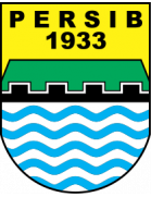 Persibat Batang