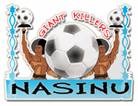 Nasinu